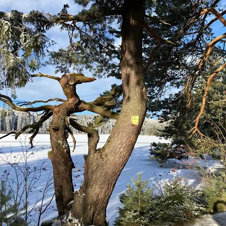 Bühnenwirtshaus Juster Gutenbrunn