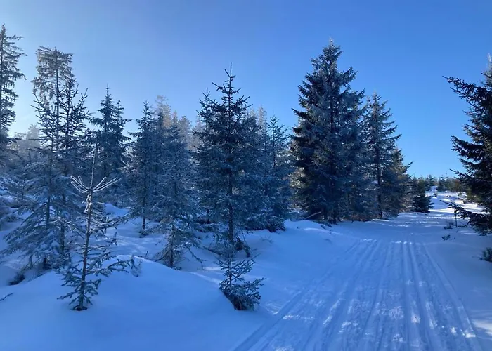 Buehnenwirtshaus Juster Gutenbrunn