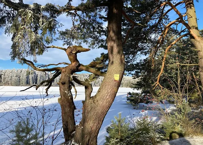 Buehnenwirtshaus Juster Gutenbrunn