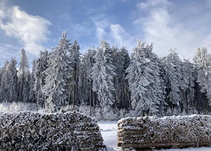 Buehnenwirtshaus Juster * Gutenbrunn